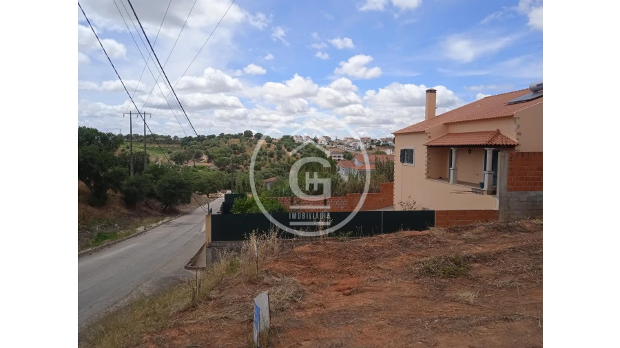 Terreno para Venda em Chamusca e Pinheiro Grande Foto 4