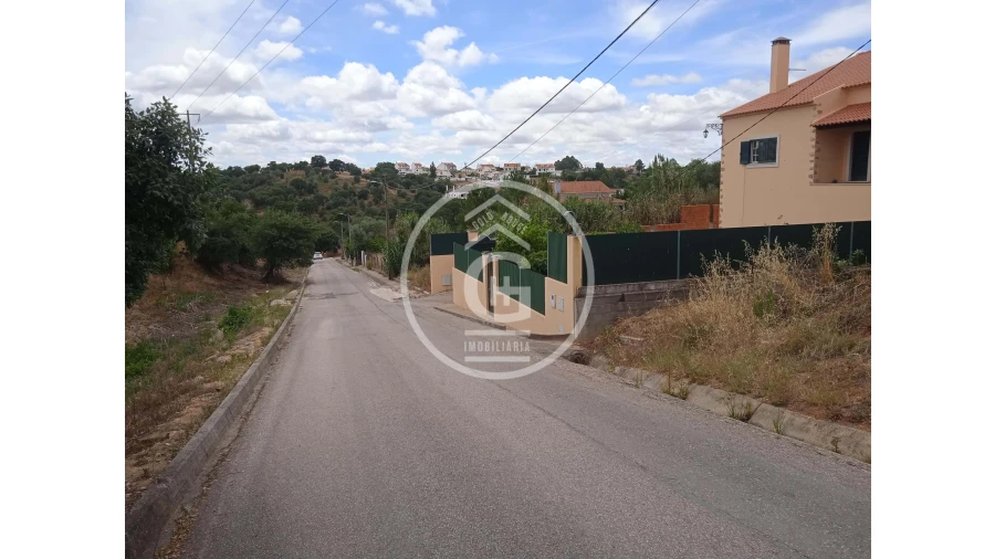 Terreno para Venda em Chamusca e Pinheiro Grande Foto 6