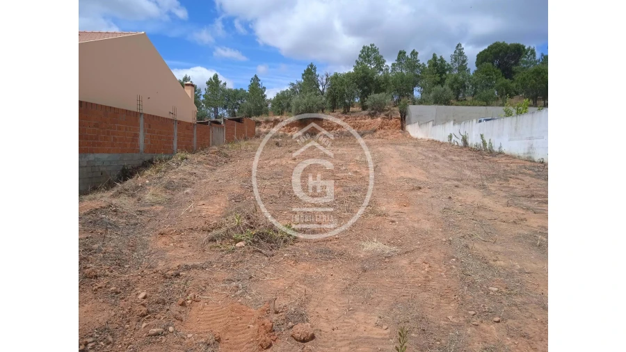 Terreno para Venda em Chamusca e Pinheiro Grande Foto 1
