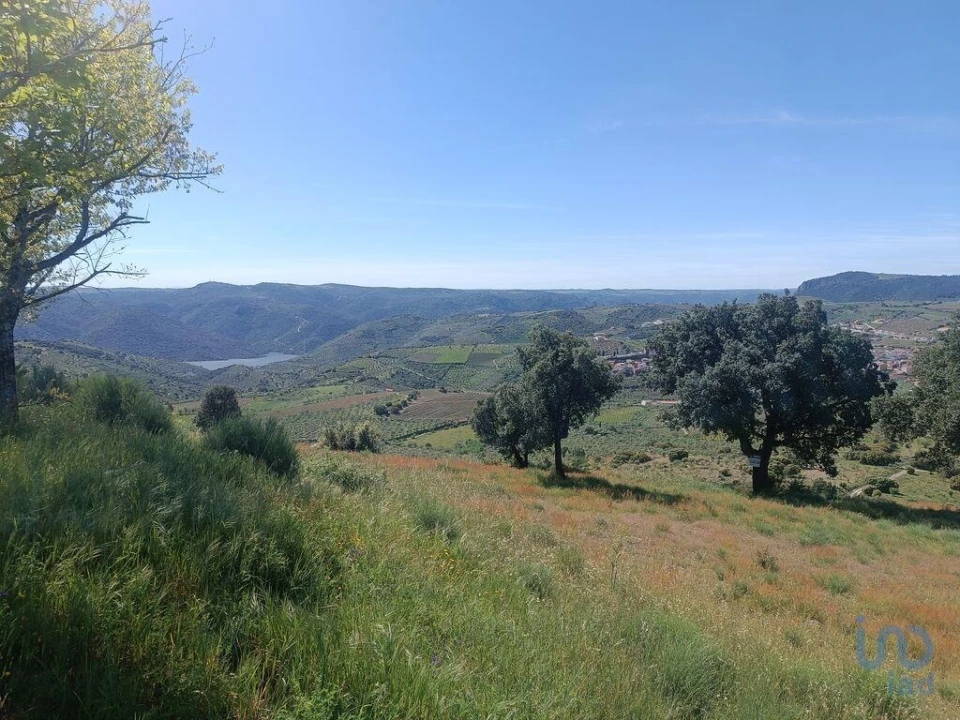 Terreno para Venda em Freixo de Espada a Cinta e Mazouco Foto 1