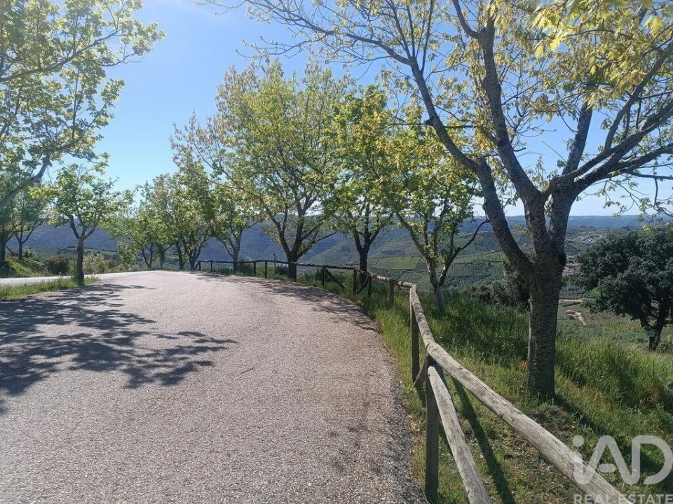 Terreno para Venda em Freixo de Espada a Cinta e Mazouco Foto 18