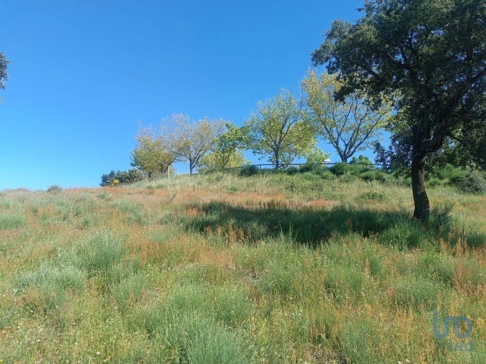 Terreno para Venda em Freixo de Espada a Cinta e Mazouco Foto 12