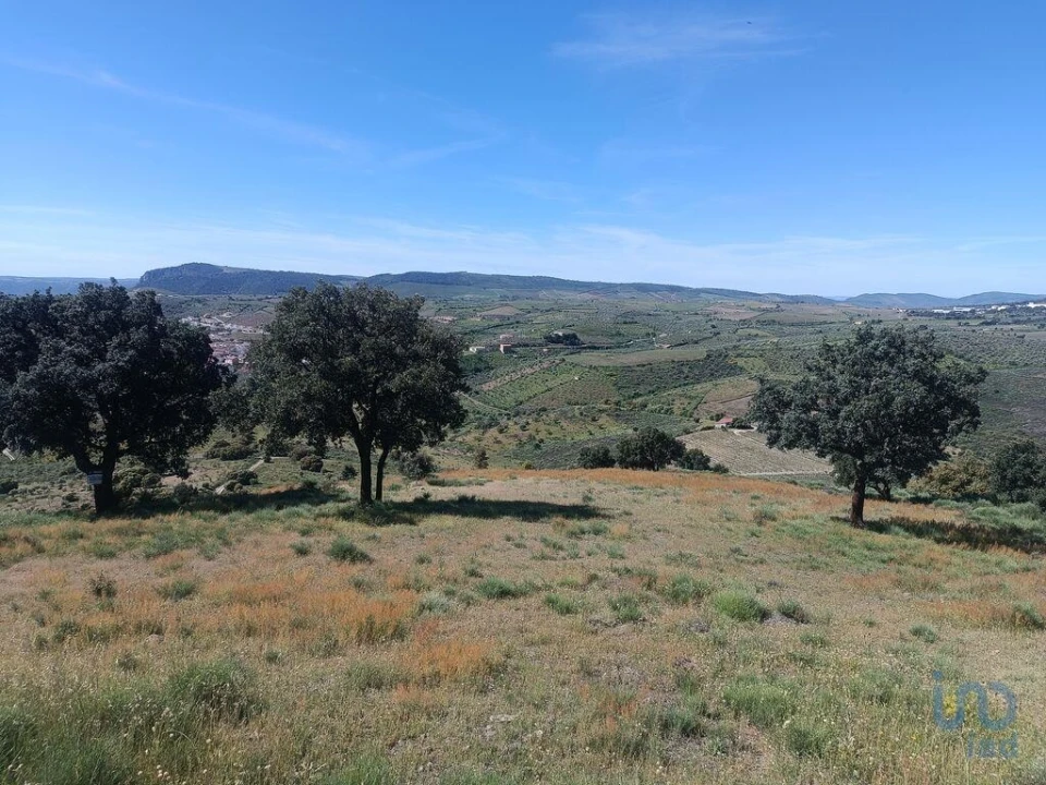 Terreno para Venda em Freixo de Espada a Cinta e Mazouco Foto 7