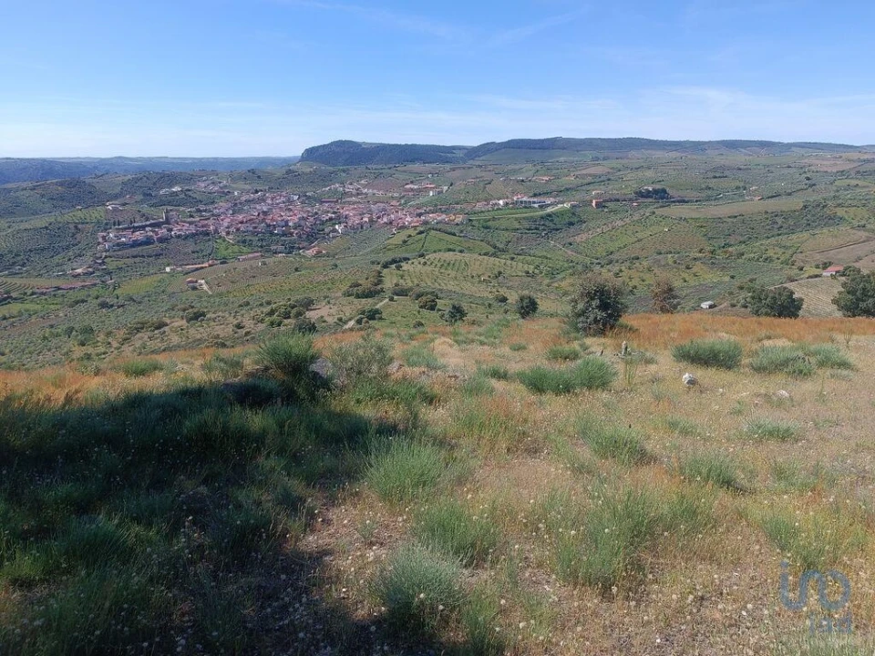 Terreno para Venda em Freixo de Espada a Cinta e Mazouco Foto 9