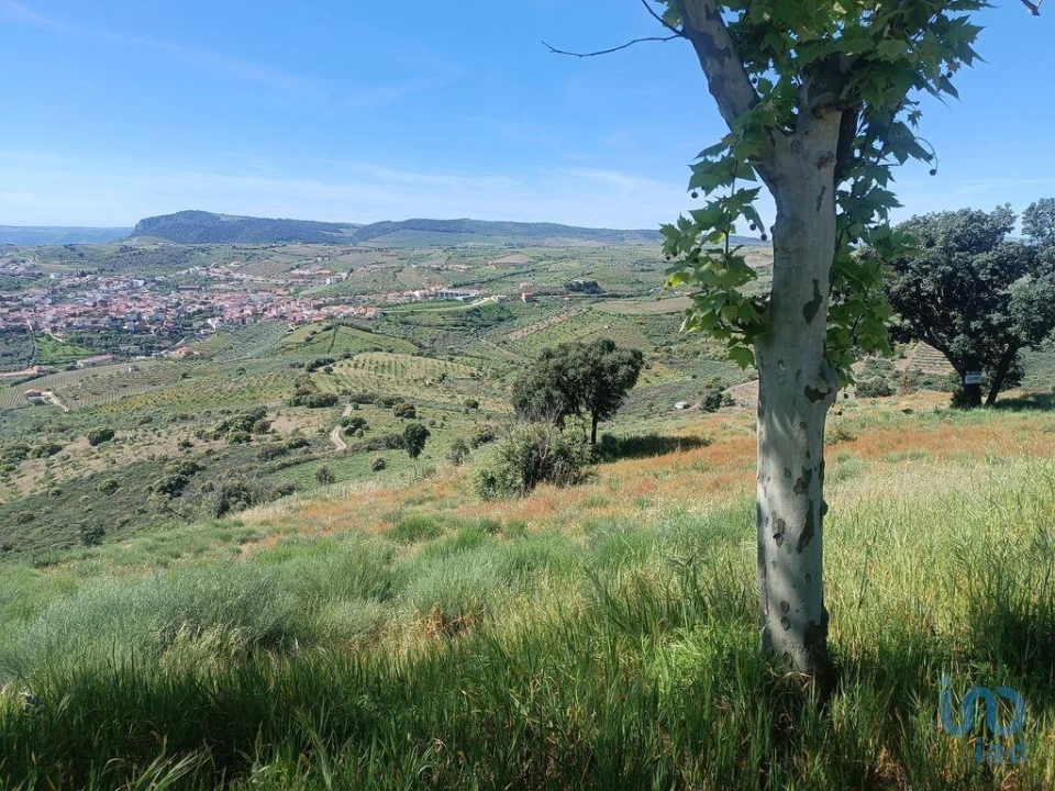 Terreno para Venda em Freixo de Espada a Cinta e Mazouco Foto 15
