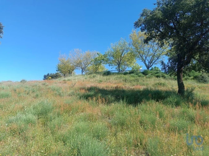 Terreno para Venda em Freixo de Espada a Cinta e Mazouco Foto 12