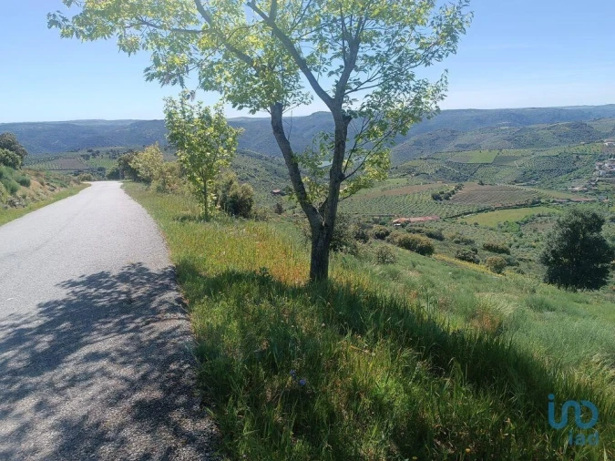 Terreno para Venda em Freixo de Espada a Cinta e Mazouco Foto 14