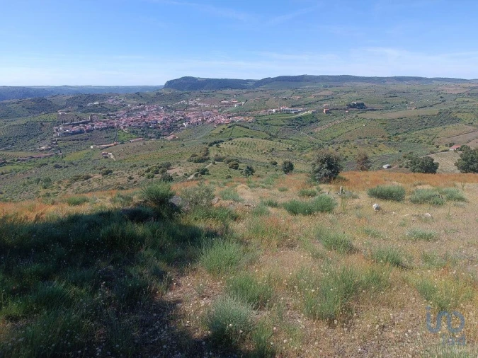 Terreno para Venda em Freixo de Espada a Cinta e Mazouco Foto 9
