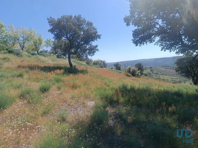 Terreno para Venda em Freixo de Espada a Cinta e Mazouco Foto 8