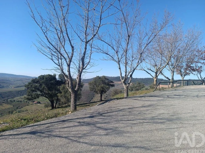 Terreno para Venda em Freixo de Espada a Cinta e Mazouco Foto 21