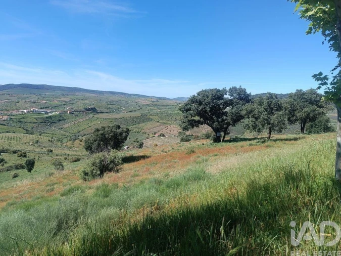 Terreno para Venda em Freixo de Espada a Cinta e Mazouco Foto 16