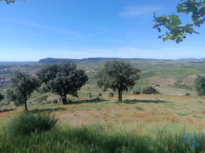 Terreno para Venda em Freixo de Espada a Cinta e Mazouco Foto 6
