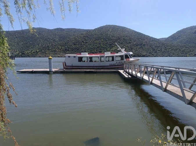 Terreno para Venda em Freixo de Espada a Cinta e Mazouco Foto 23