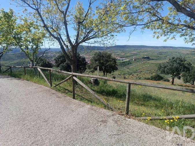 Terreno para Venda em Freixo de Espada a Cinta e Mazouco Foto 19