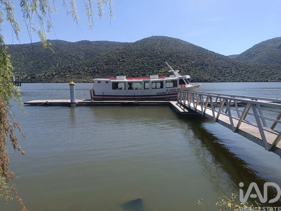 Terreno para Venda em Freixo de Espada a Cinta e Mazouco Foto 23