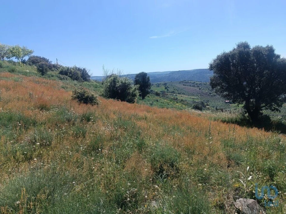Terreno para Venda em Freixo de Espada a Cinta e Mazouco Foto 11