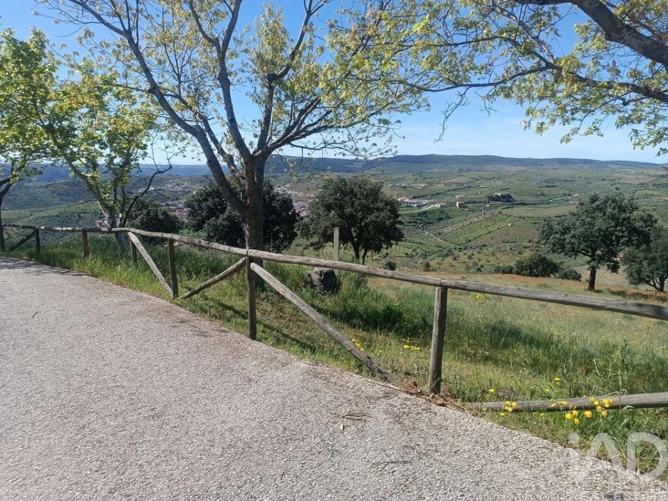 Terreno para Venda em Freixo de Espada a Cinta e Mazouco Foto 19