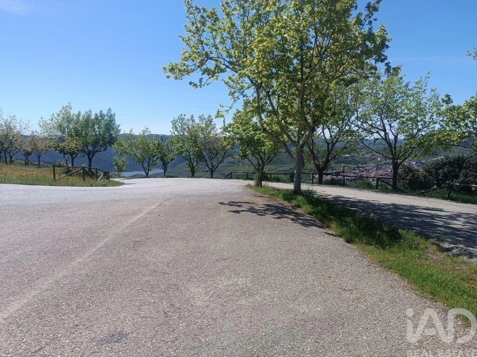 Terreno para Venda em Freixo de Espada a Cinta e Mazouco Foto 20