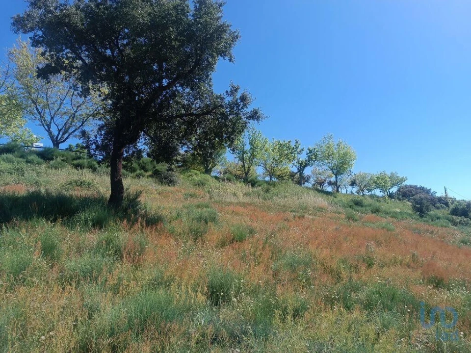 Terreno para Venda em Freixo de Espada a Cinta e Mazouco Foto 13