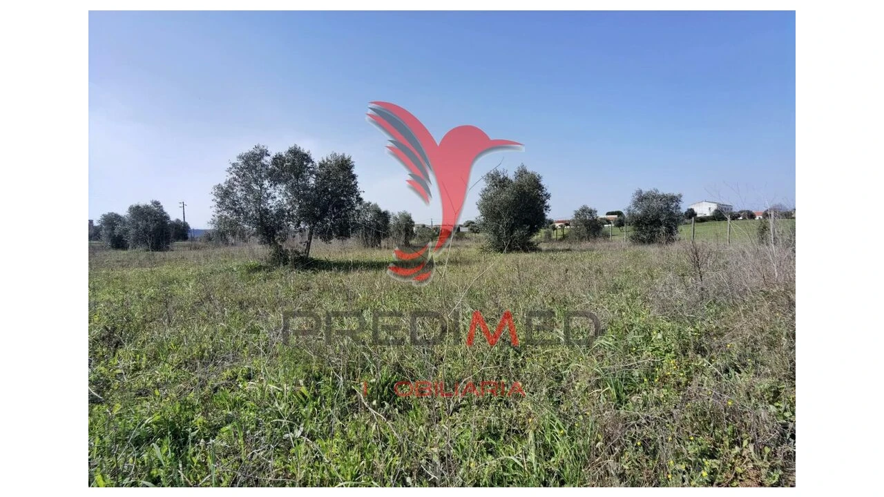 Terreno para Venda em Marvila, Ribeira Santarém, São Salvador, São Nicolau Foto 15