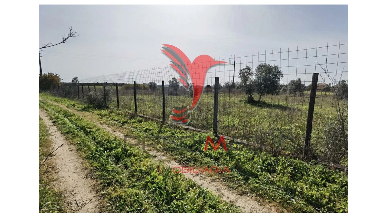 Terreno para Venda em Marvila, Ribeira Santarém, São Salvador, São Nicolau Foto 5