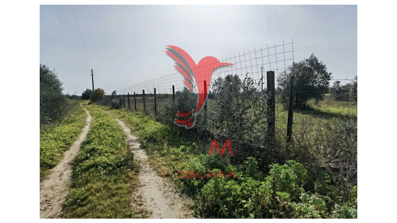 Terreno para Venda em Marvila, Ribeira Santarém, São Salvador, São Nicolau Foto 6