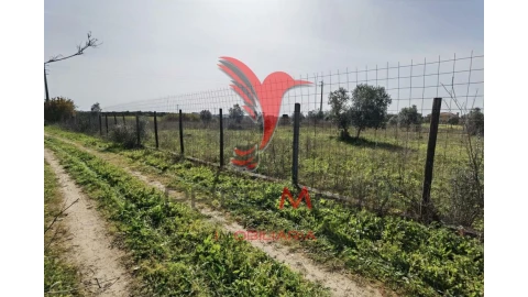 Terreno para Venda em Marvila, Ribeira Santarém, São Salvador, São Nicolau