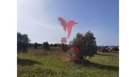 Terreno para Venda em Marvila, Ribeira Santarém, São Salvador, São Nicolau