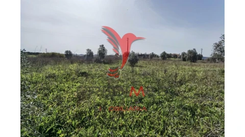 Terreno para Venda em Marvila, Ribeira Santarém, São Salvador, São Nicolau