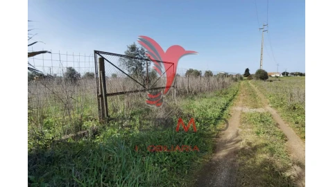 Terreno para Venda em Marvila, Ribeira Santarém, São Salvador, São Nicolau