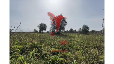 Terreno para Venda em Marvila, Ribeira Santarém, São Salvador, São Nicolau
