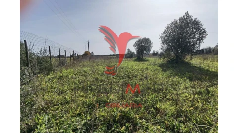 Terreno para Venda em Marvila, Ribeira Santarém, São Salvador, São Nicolau