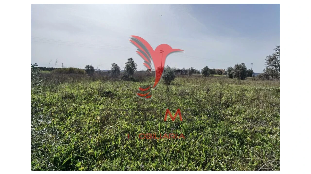 Terreno para Venda em Marvila, Ribeira Santarém, São Salvador, São Nicolau Foto 14