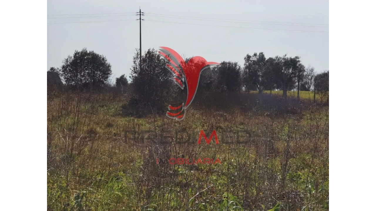 Terreno para Venda em Marvila, Ribeira Santarém, São Salvador, São Nicolau Foto 13