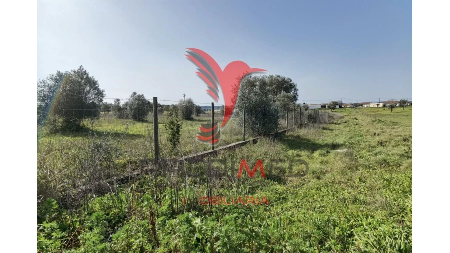 Terreno para Venda em Marvila, Ribeira Santarém, São Salvador, São Nicolau Foto 9