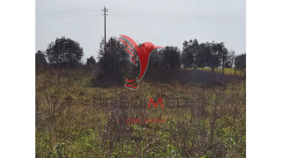 Terreno para Venda em Marvila, Ribeira Santarém, São Salvador, São Nicolau Foto 13