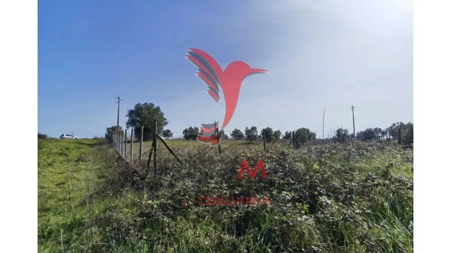 Terreno para Venda em Marvila, Ribeira Santarém, São Salvador, São Nicolau Foto 7