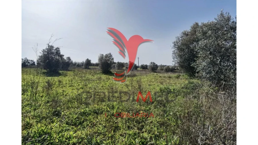 Terreno para Venda em Marvila, Ribeira Santarém, São Salvador, São Nicolau Foto 20