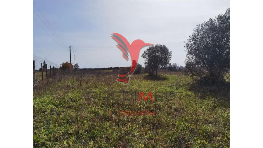 Terreno para Venda em Marvila, Ribeira Santarém, São Salvador, São Nicolau Foto 10