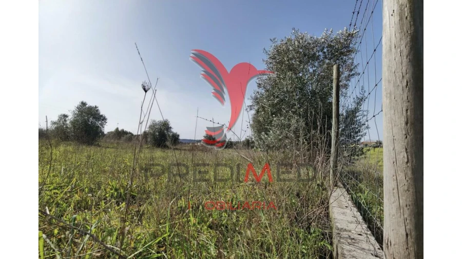 Terreno para Venda em Marvila, Ribeira Santarém, São Salvador, São Nicolau Foto 8
