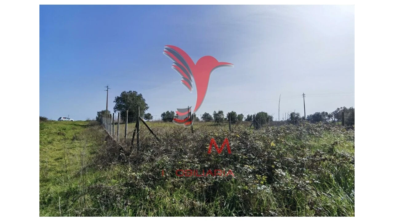 Terreno para Venda em Marvila, Ribeira Santarém, São Salvador, São Nicolau Foto 7
