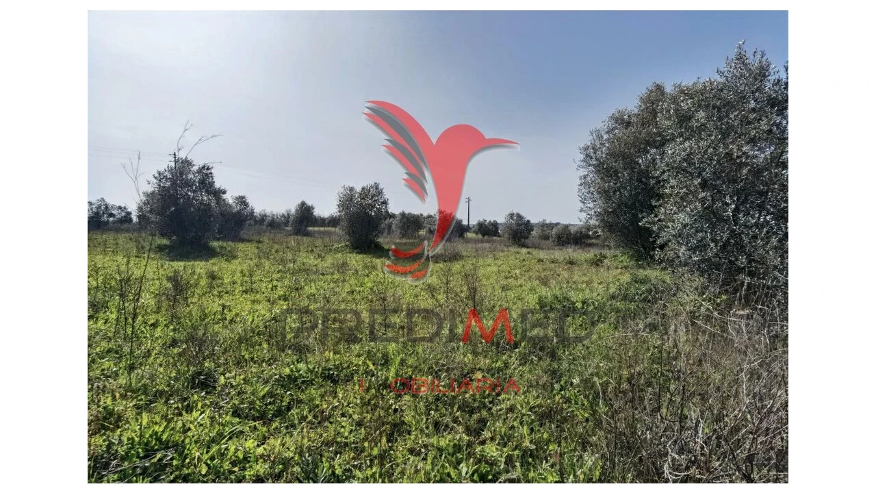 Terreno para Venda em Marvila, Ribeira Santarém, São Salvador, São Nicolau Foto 20