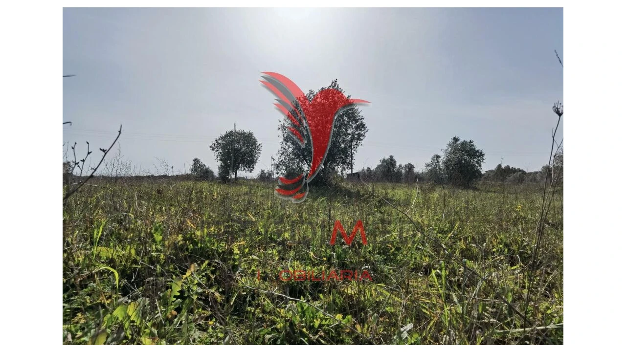 Terreno para Venda em Marvila, Ribeira Santarém, São Salvador, São Nicolau Foto 17