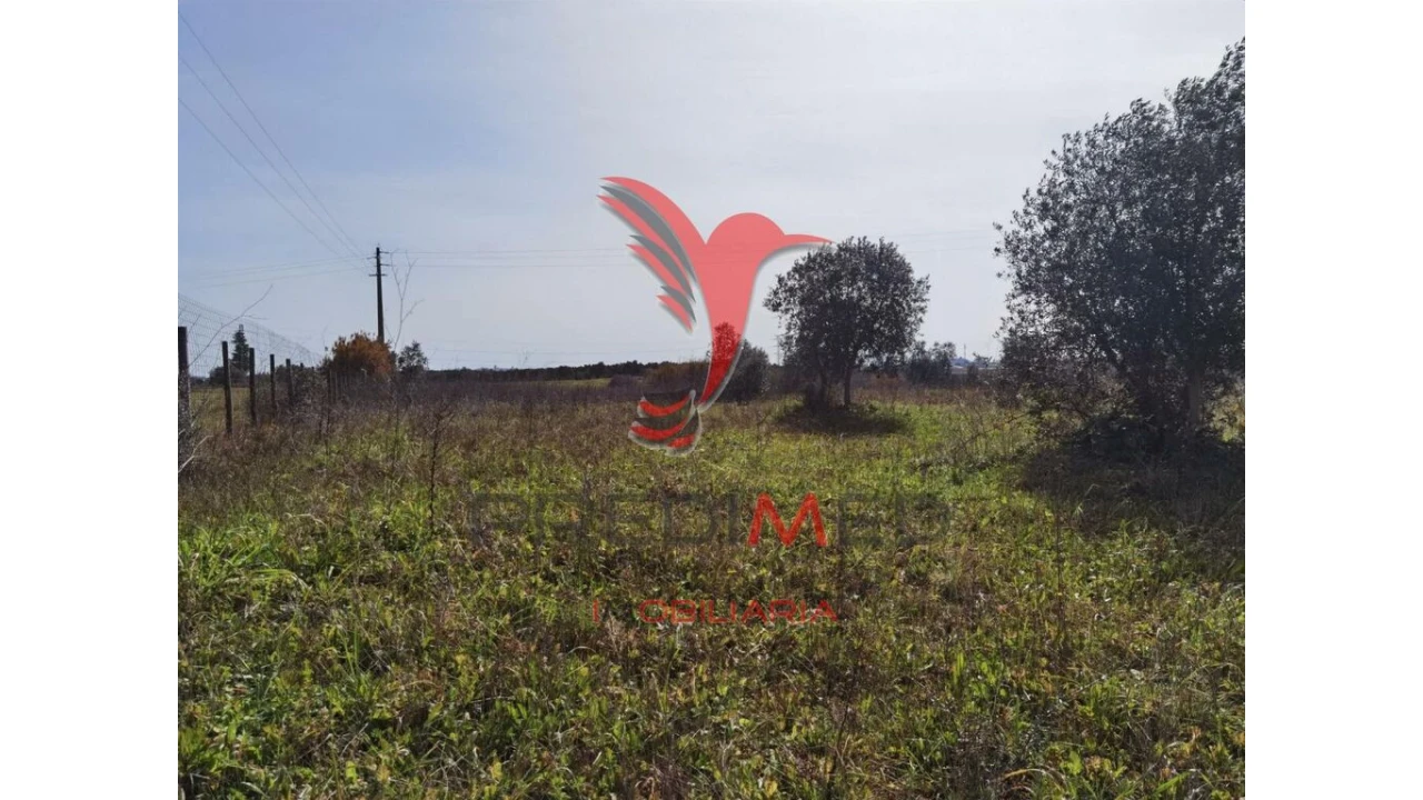 Terreno para Venda em Marvila, Ribeira Santarém, São Salvador, São Nicolau Foto 10