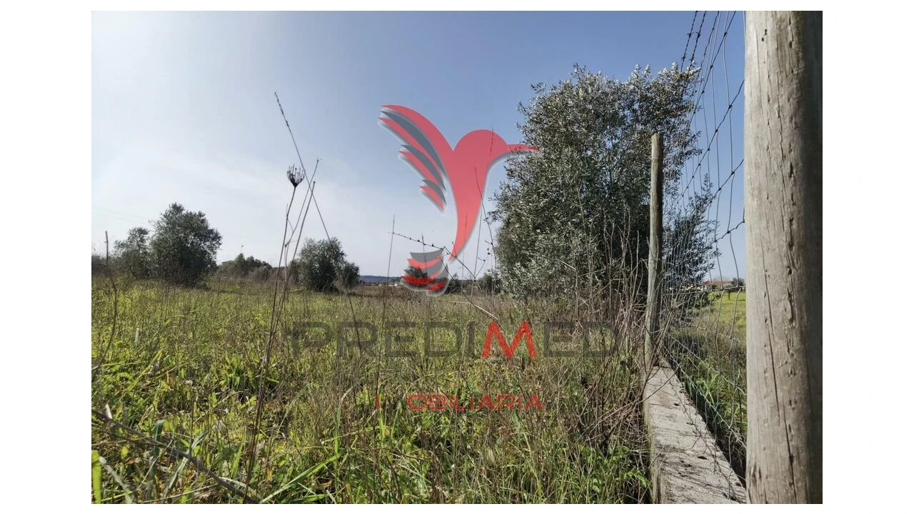 Terreno para Venda em Marvila, Ribeira Santarém, São Salvador, São Nicolau Foto 8