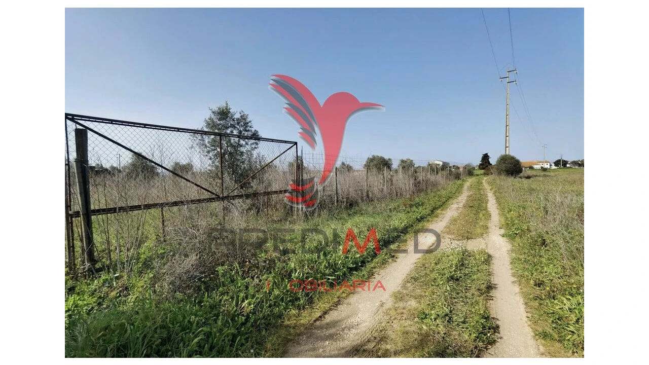 Terreno para Venda em Marvila, Ribeira Santarém, São Salvador, São Nicolau Foto 1