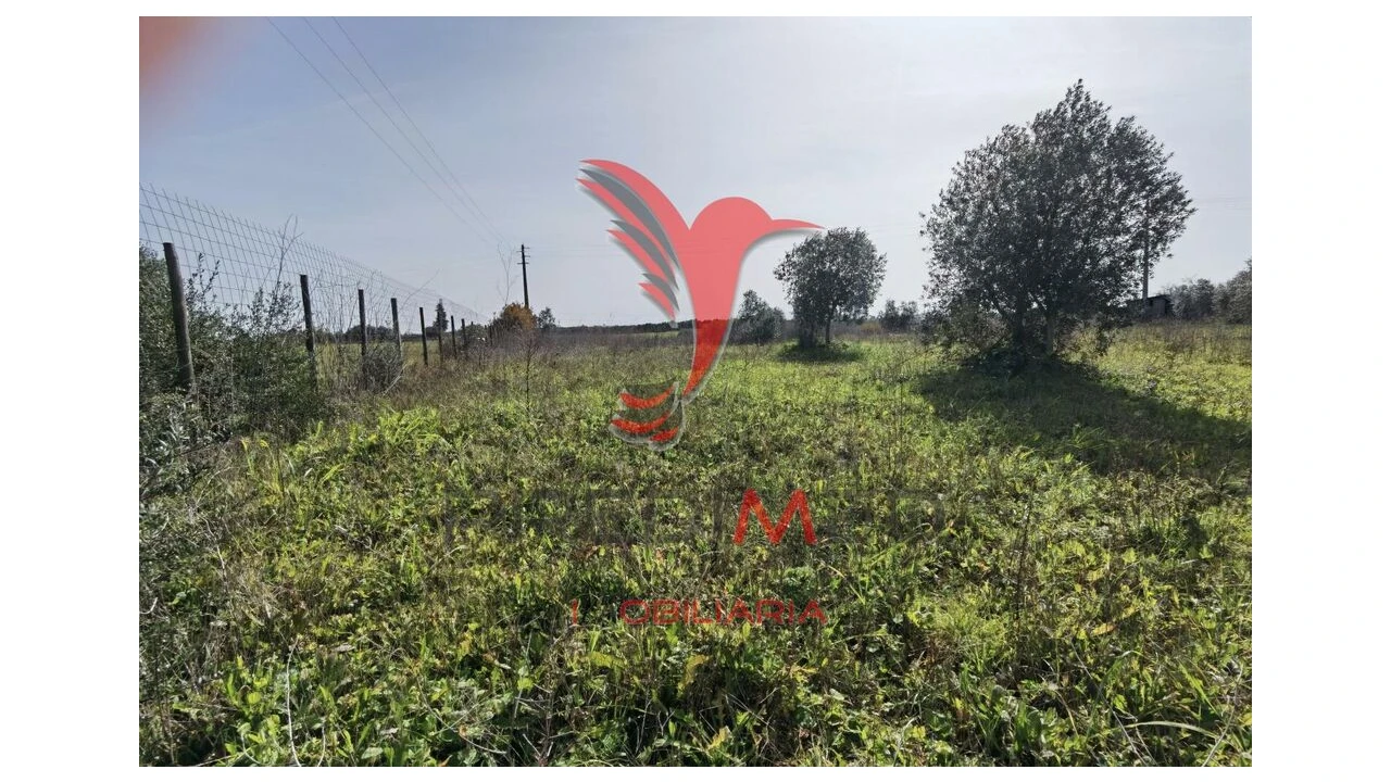 Terreno para Venda em Marvila, Ribeira Santarém, São Salvador, São Nicolau Foto 16