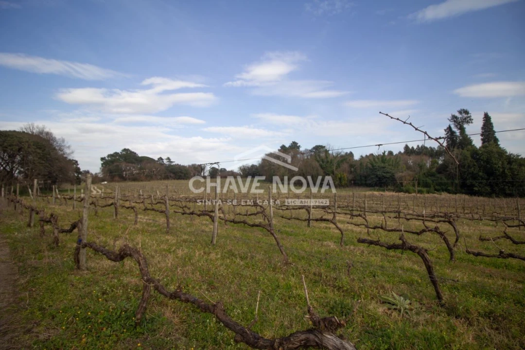 Quinta T5 para Venda em Vila das Aves Foto 6