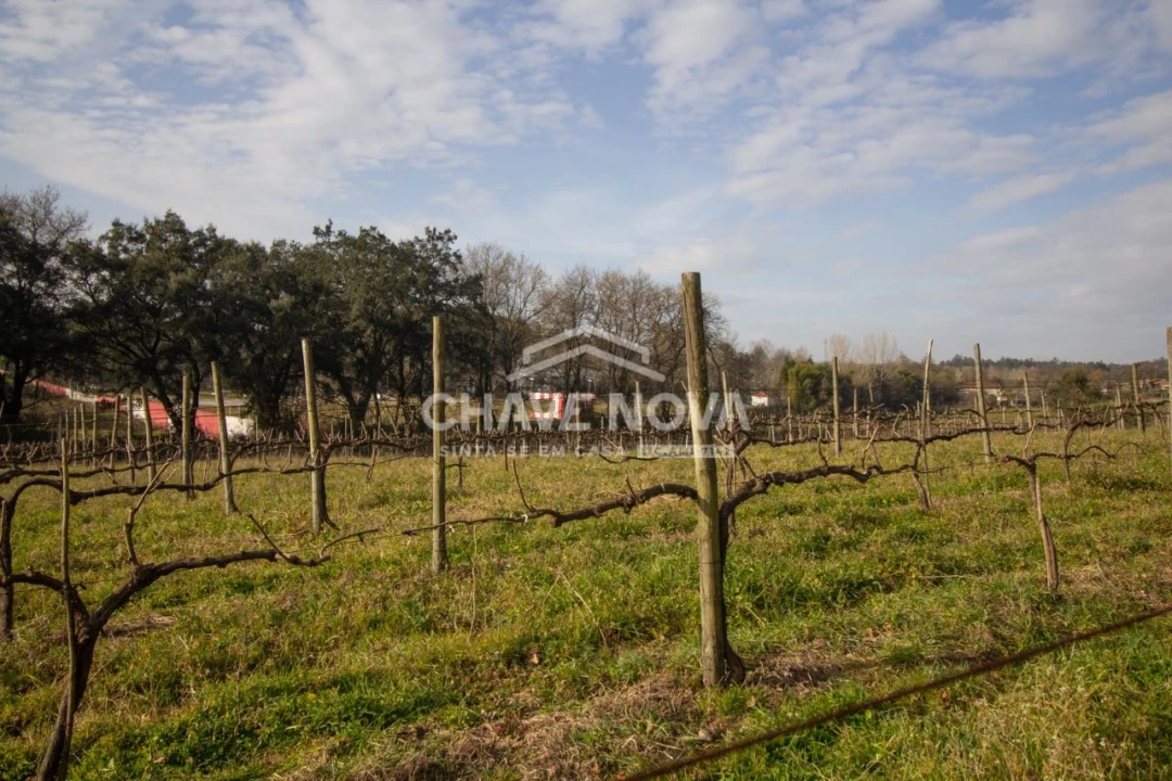 Quinta T5 para Venda em Vila das Aves Foto 23