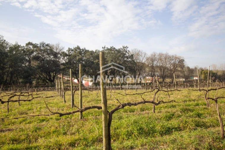Quinta T5 para Venda em Vila das Aves Foto 24
